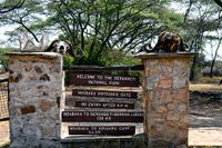 Victoriasee - Serengeti 02