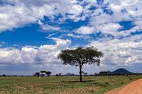 Victoriasee - Serengeti 06