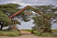 Serengeti 01