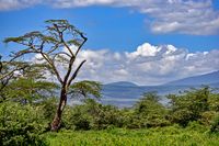 Ngorongoro 01