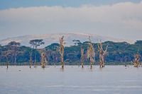 Lake Naivasha 02