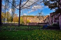 Schloss Heidelberg 09